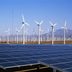 10 Facts About Sustainability