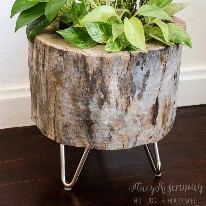 Stump Planter