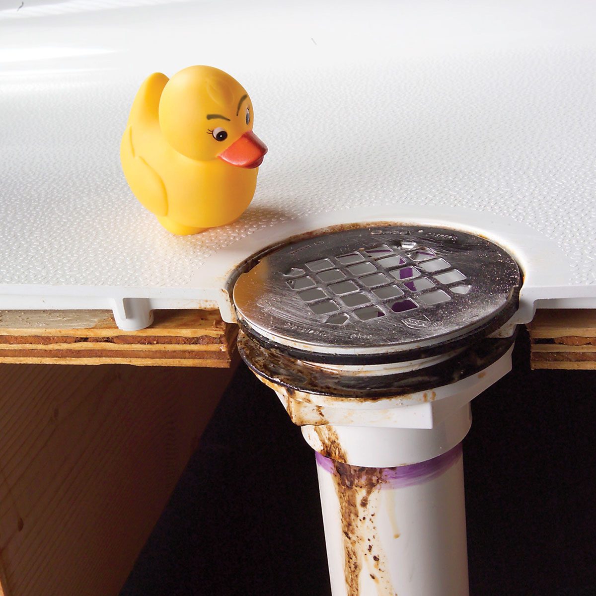 A rubber duck on a drain