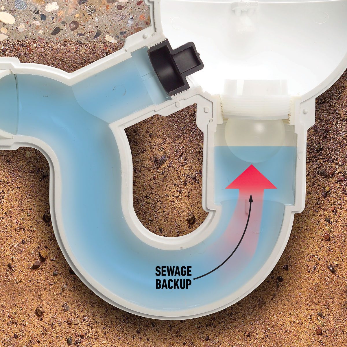 Floor Drain Backwater Valve In Place