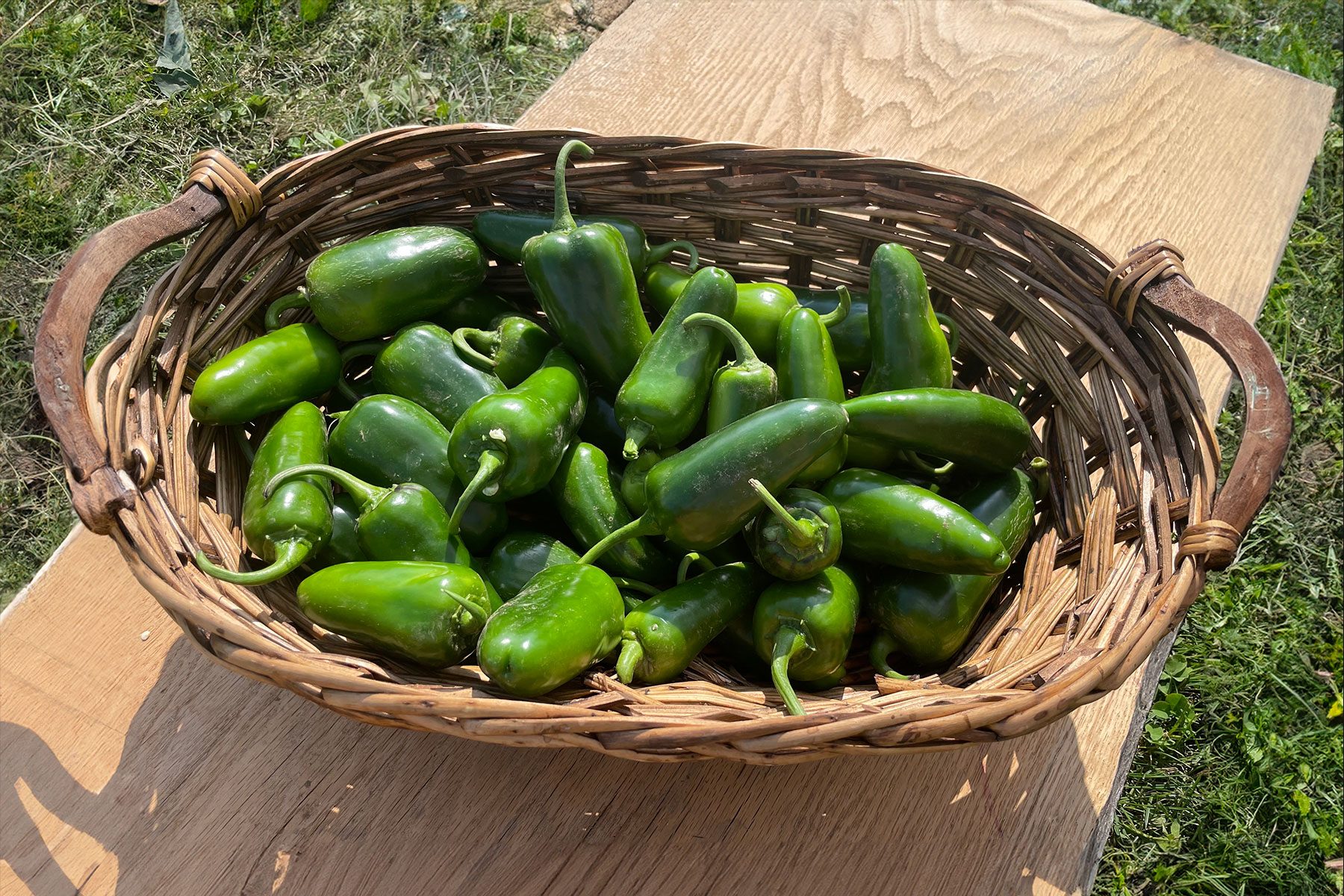 Pepper San Joaquin In Basket