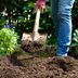 The 6 Types of Soil For Your Garden