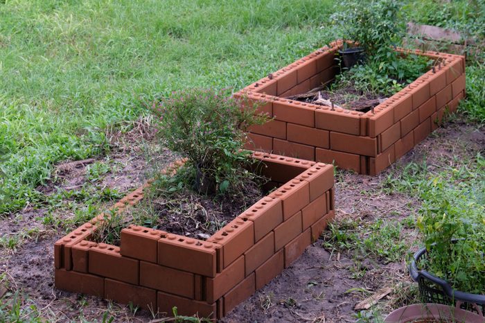 The DIY vegetable bed made from the brick