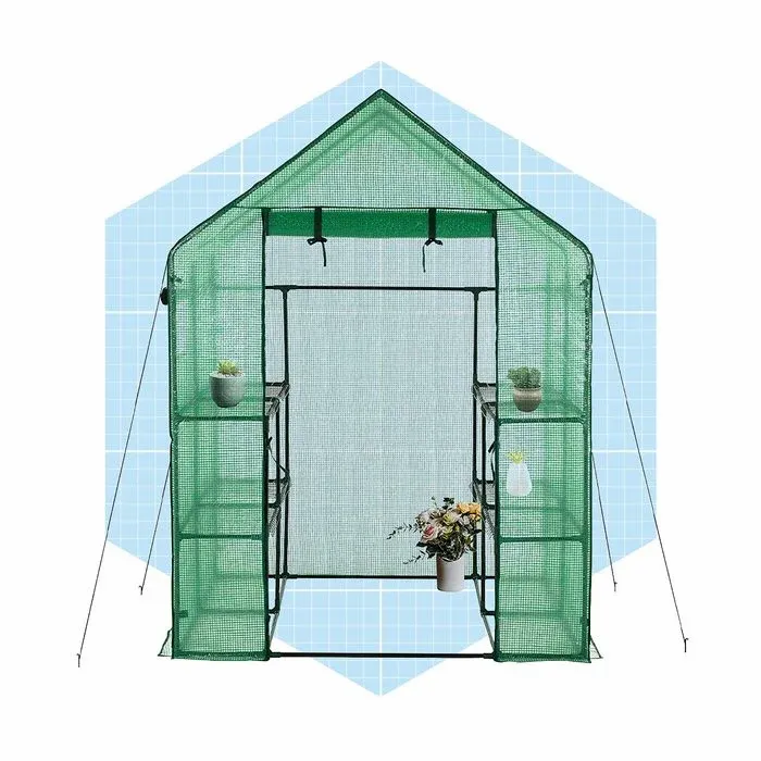 Fhm Ecomm Deluxe Green House Via Amazon