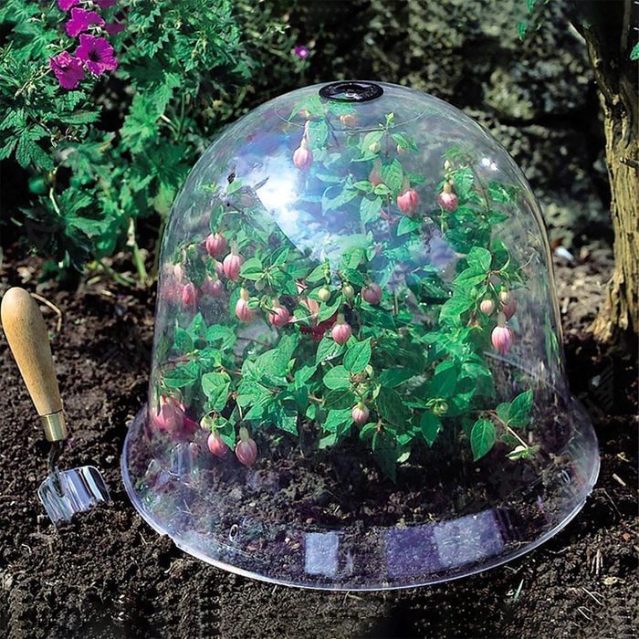 Fhm Ecomm Leaveforme Garden Dome Via Walmart.com 