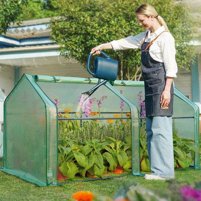 Fhm Ecomm Quictent Mini Greenhouse With 2 Covers Via Amazon.com 