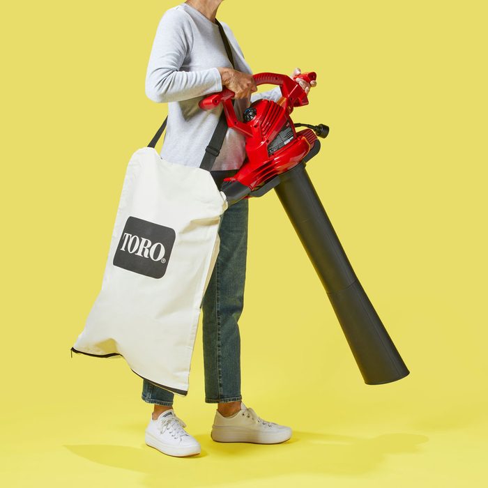 Toro Ultra Blower Vac
