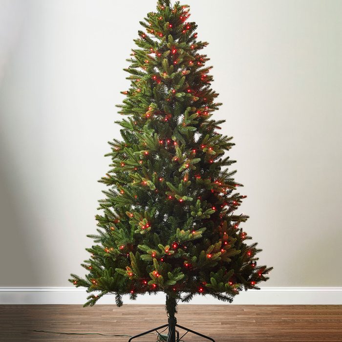 Evergreen Classics Twinkly Carolina Spruce Trees