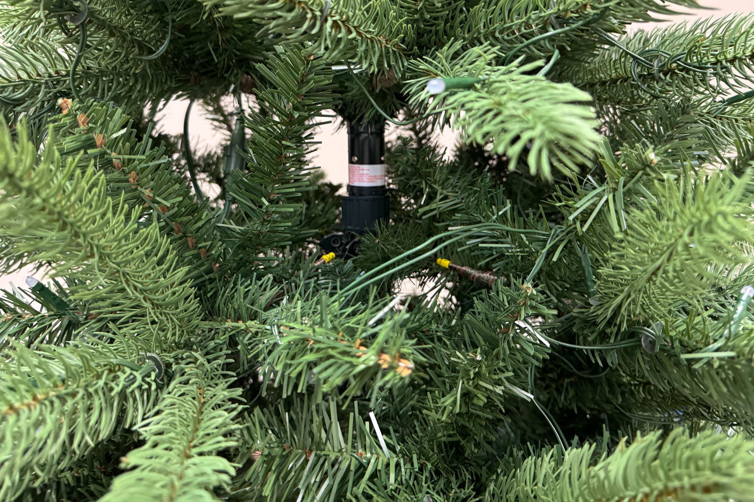 Evergreen Classics Twinkly Carolina Spruce Trees