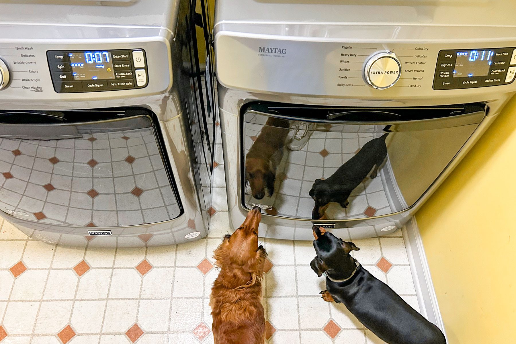 Maytag Washer and Dryer Review: Made Like They Used to Be