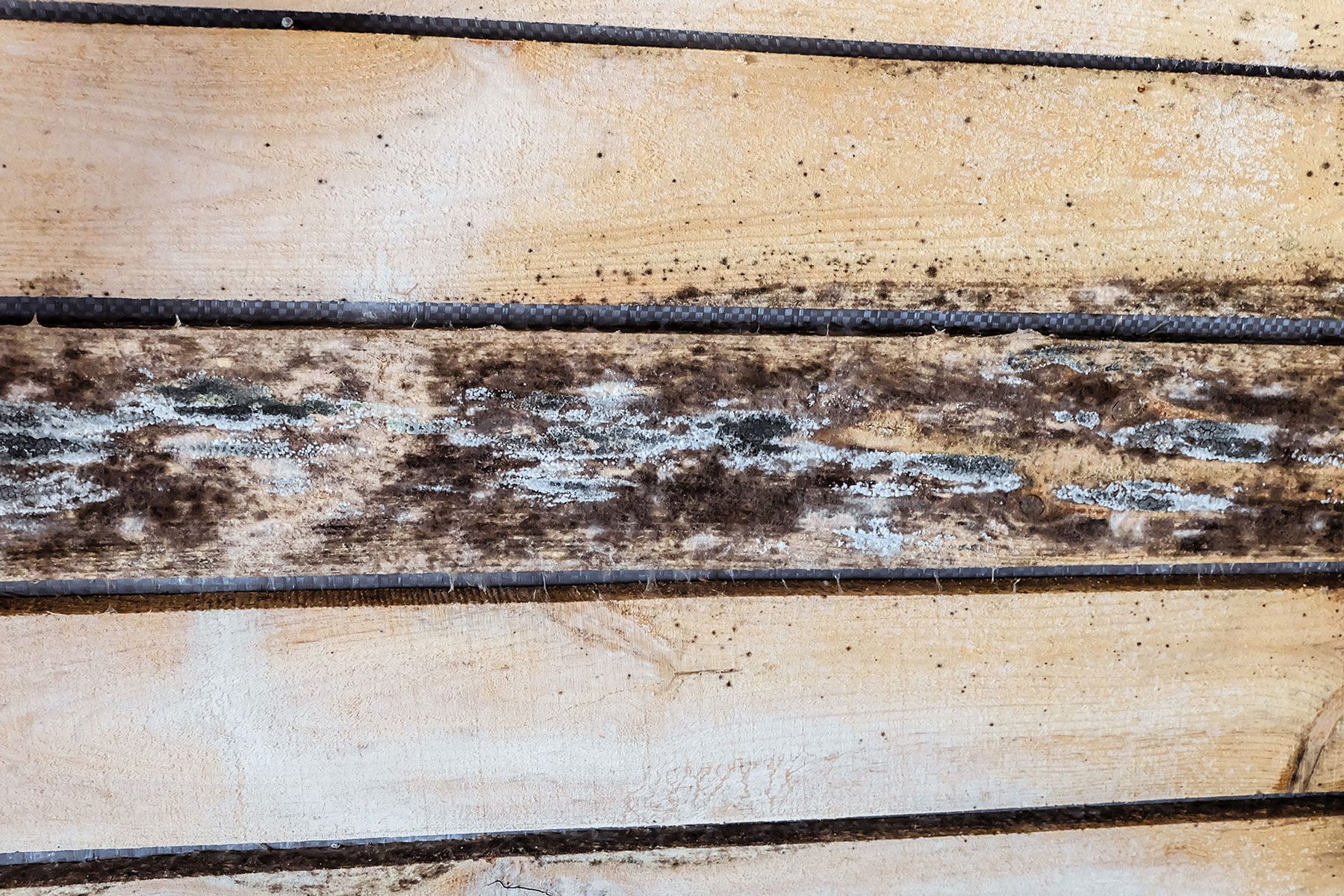 How To Get Rid of Mold on Unfinished Wood