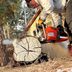 Husqvarna 455 Rancher Chainsaw Review: A Powerful Saw Capable of Nearly Any Task
