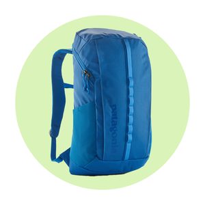 Patagonia Black Hole Pack