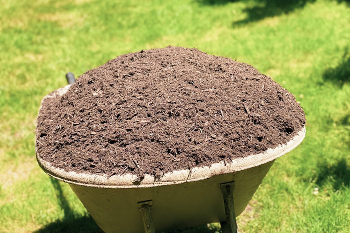mulch