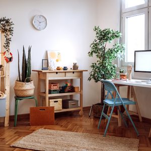 Cozy apartment with no people