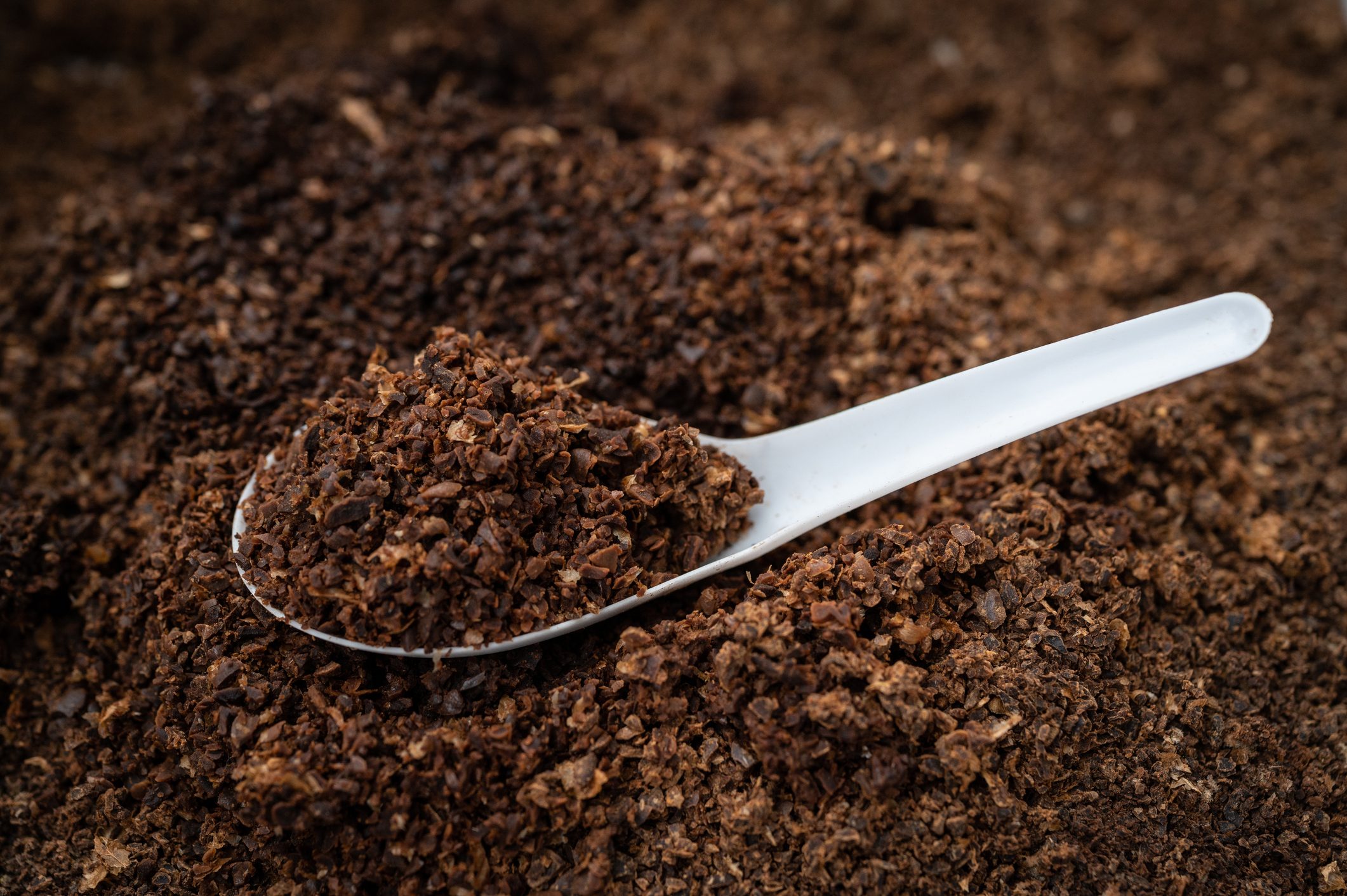How Coffee Grounds Can Supercharge Your Plants